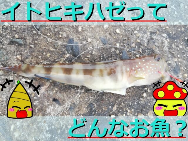 Thumbnail of post image 169